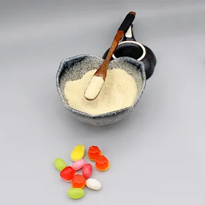 Edible Gelatin Sweets Ice Cream 180 250 280 Bloom Kosher Halal Beef Food Grade Gelatin